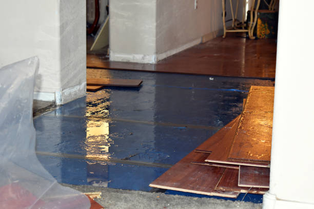 Professional Water Damage Restoration technician working in Sanford, MI