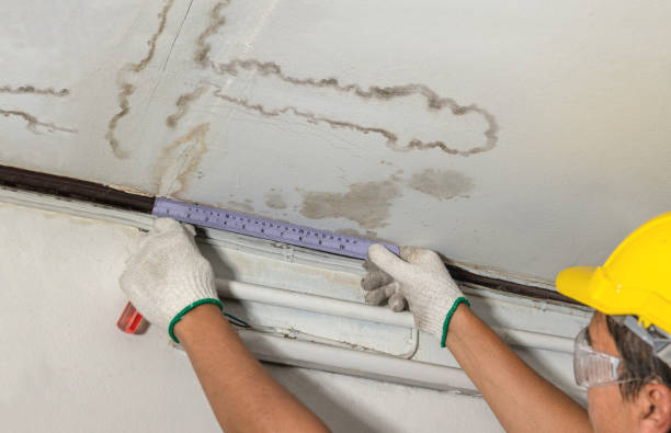 Reliable Water Damage Restoration contractor in Sanford, MI by Water Damage Irwin